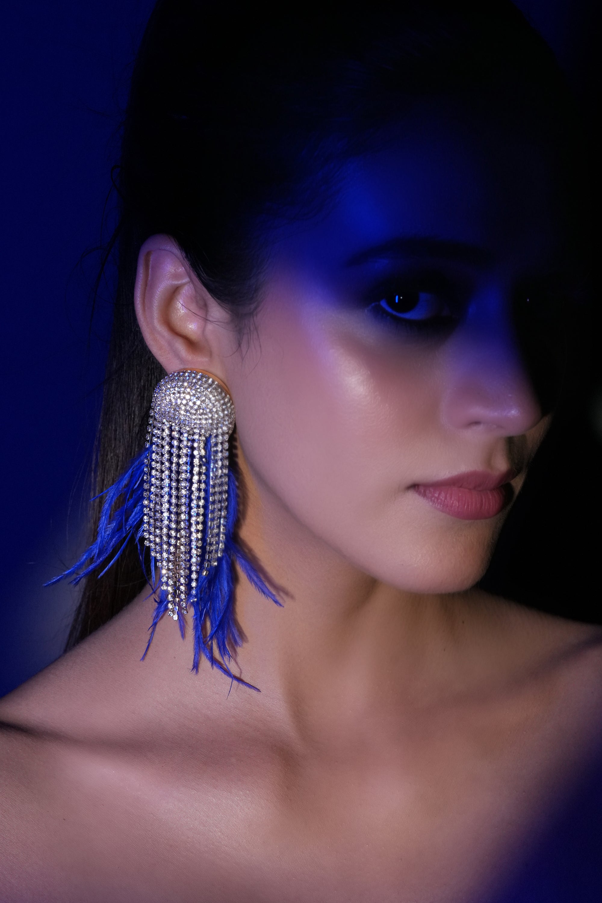 Blue Fringe Crystal Earrings