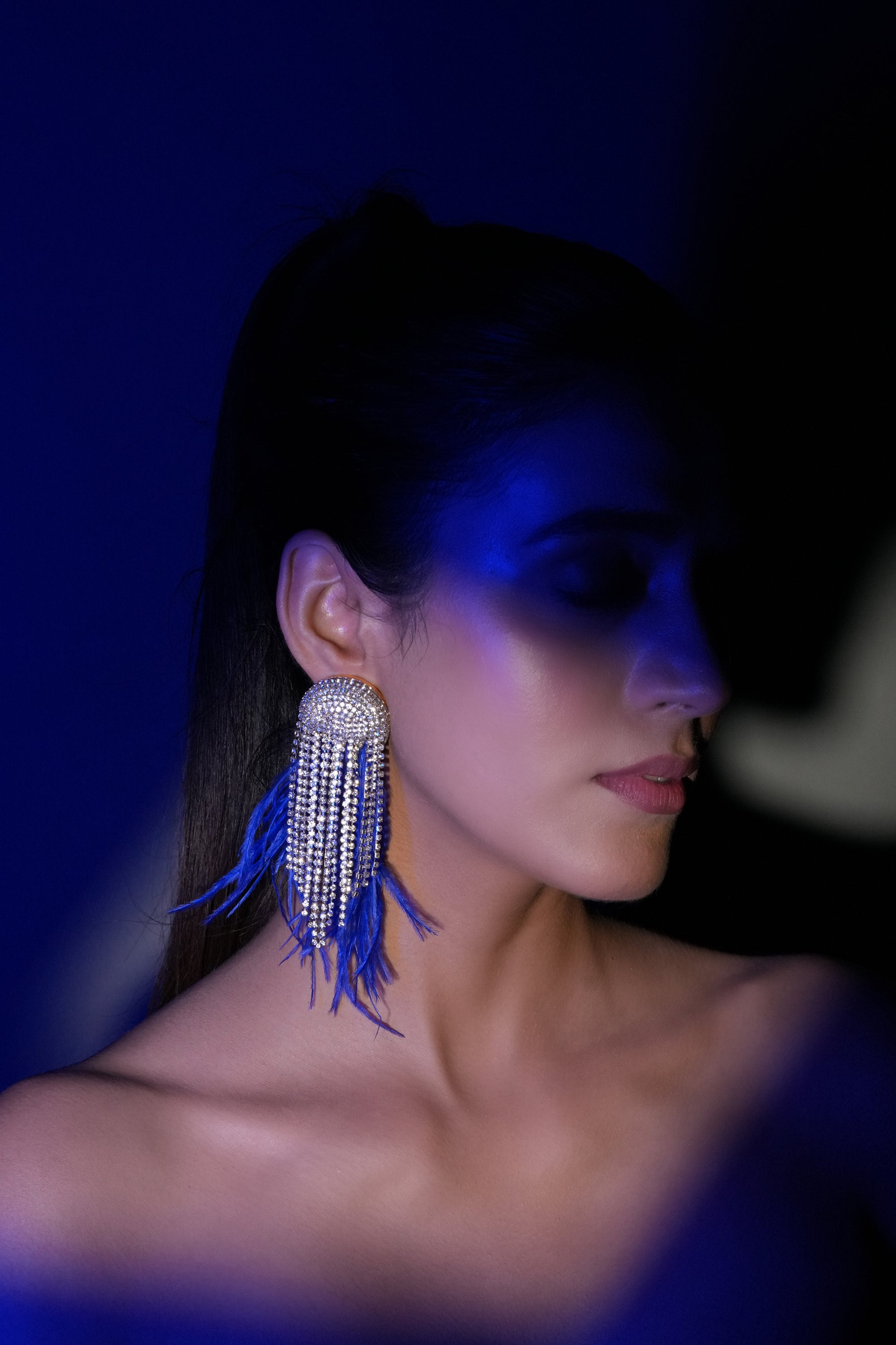 Blue Fringe Crystal Earrings