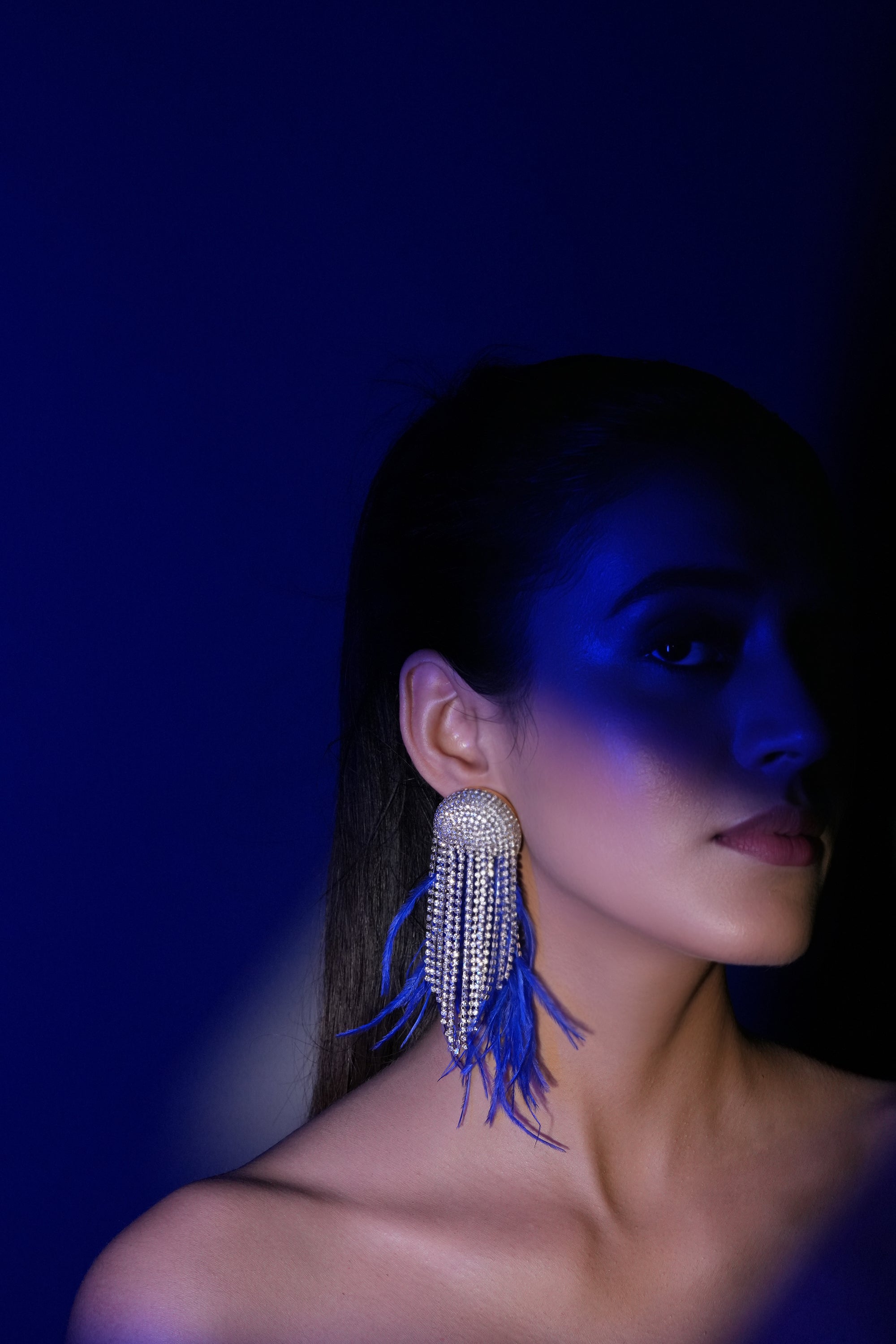Blue Fringe Crystal Earrings