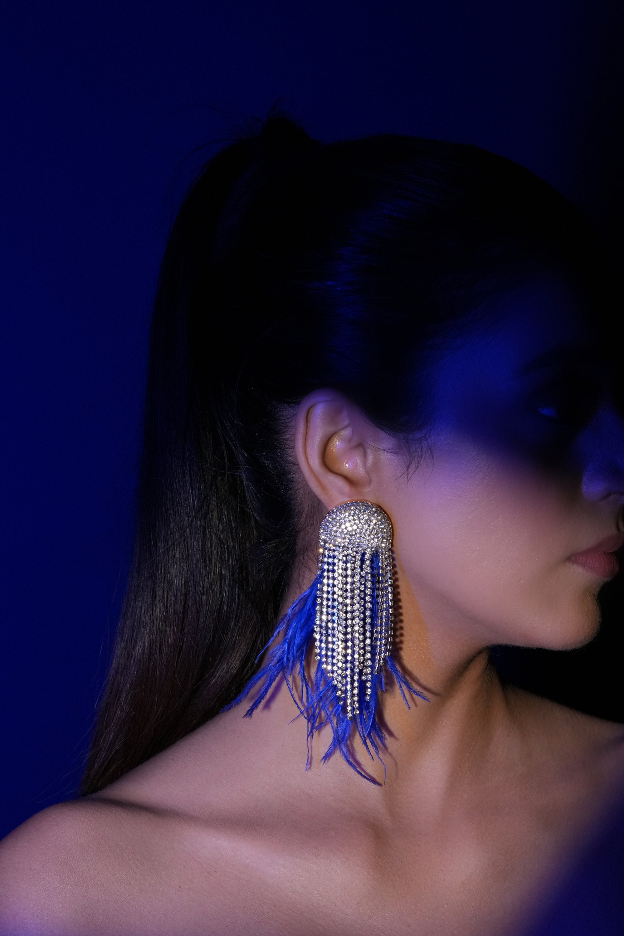 Blue Fringe Crystal Earrings